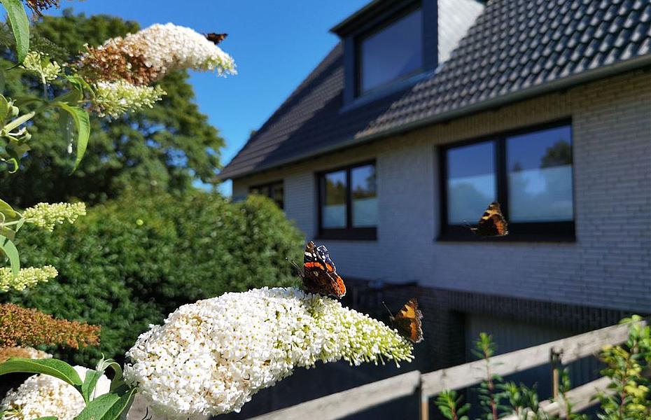 35 Ansicht